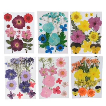 Тези Сухи Цветя, Пресовани Листа Флорални Теми за Нокти Калъф за телефон Бижута