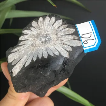 Естествен Камък Хризантеми Crystal Минерален Образец Колекция От Декорации За Дома Научни Изследвания И Преподаване