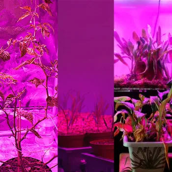 Светодиодна лента за отглеждане на Светлина с Пълен Спектър Автоматично Включване и Изключване на Светлина За отглеждане на с Регулируема Яркост За стайни растения USB Time Plants Light